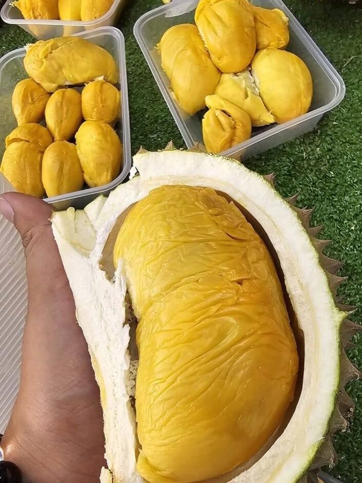 KL Durian Stalls