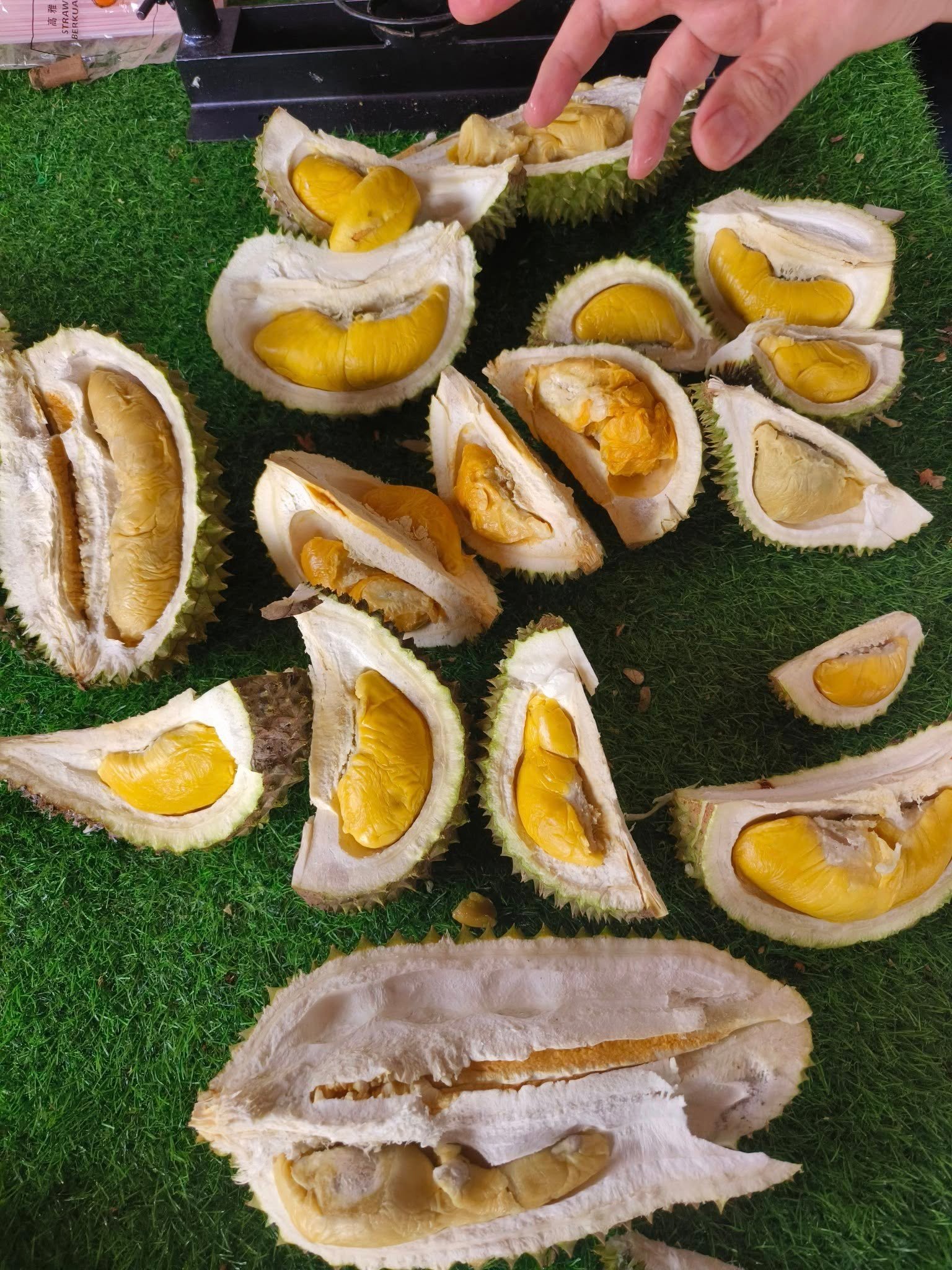 KL Durian Stalls