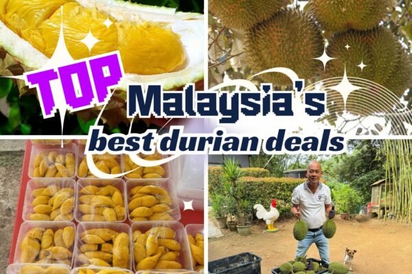 Malaysia Best Durian Deals