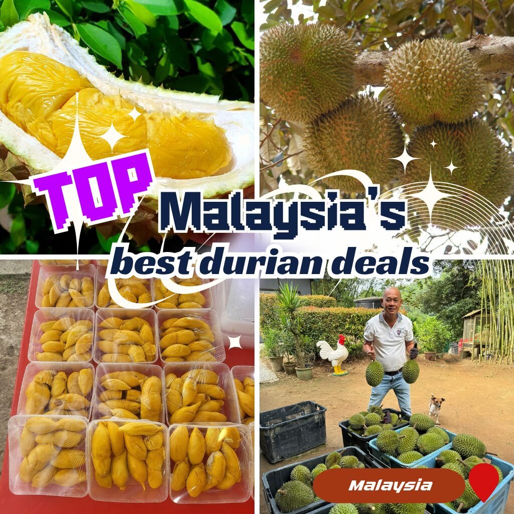Malaysia Best Durian Deals